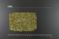 Schachtelhalmkraut 100g