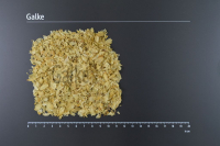 Hopfenblüten geschnitten 50g