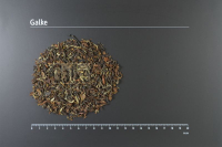 China White Downy Oolong*